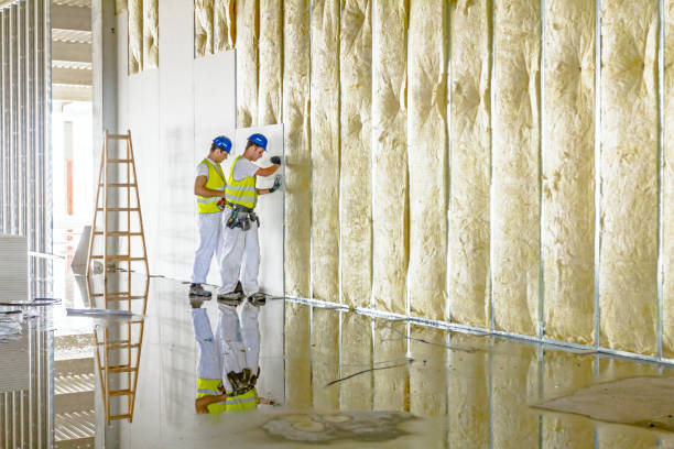 Best Basement Insulation  in Frederic, WI